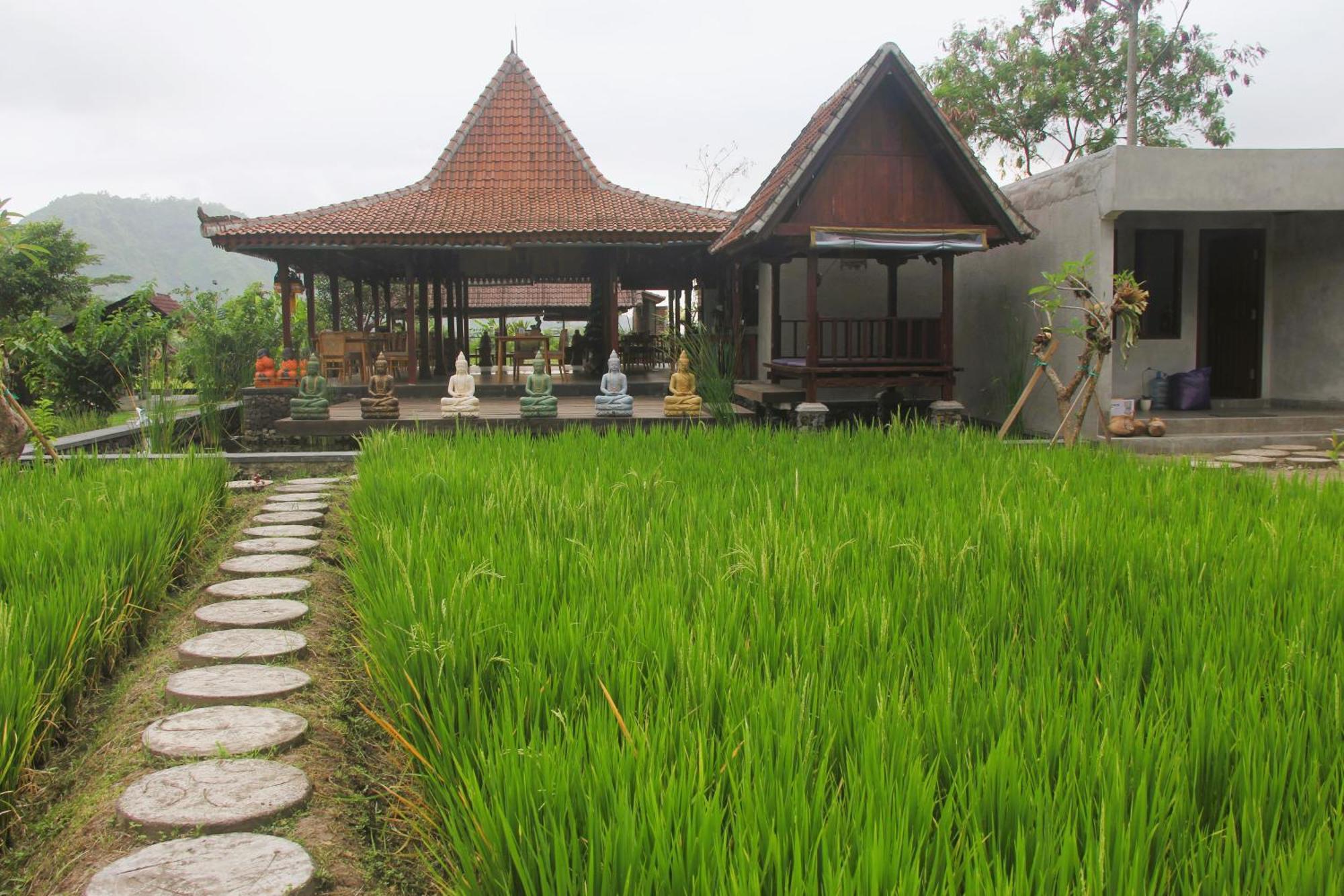 סיידמן Anandinii River Lodge By Agata מראה חיצוני תמונה